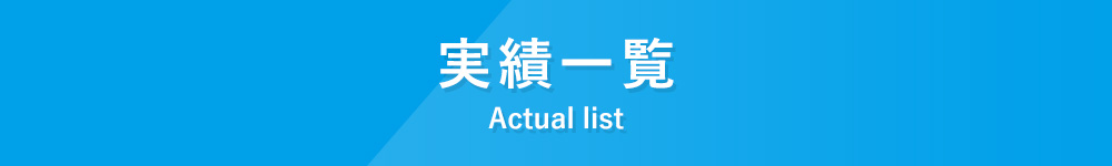 実績一覧