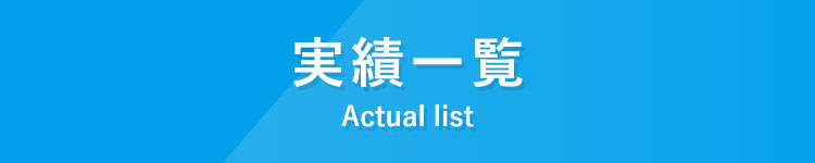 実績一覧